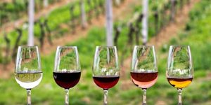 End of Summer Wine Down